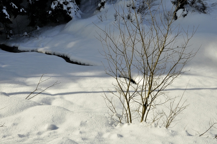 Čeladenka, únor 2015